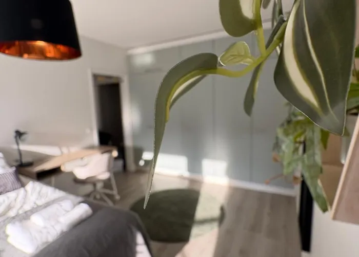 Valoisa 47 M2 Kaksio Seinaejoen Upasta Lägenhet Seinäjoki